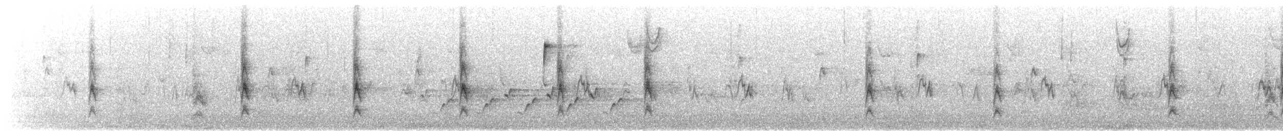 Пасовка співоча (підвид melodia/atlantica) - ML646426314