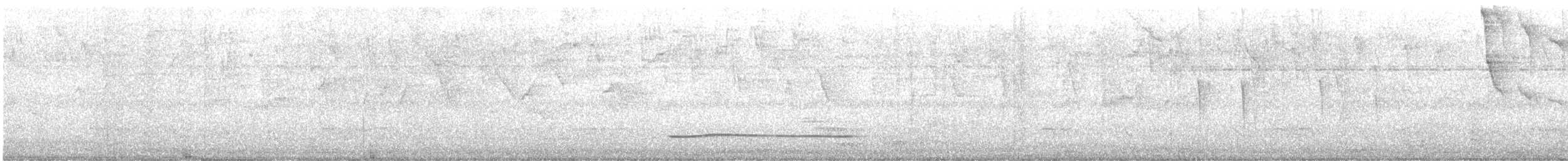 Татаупа малий - ML646426329