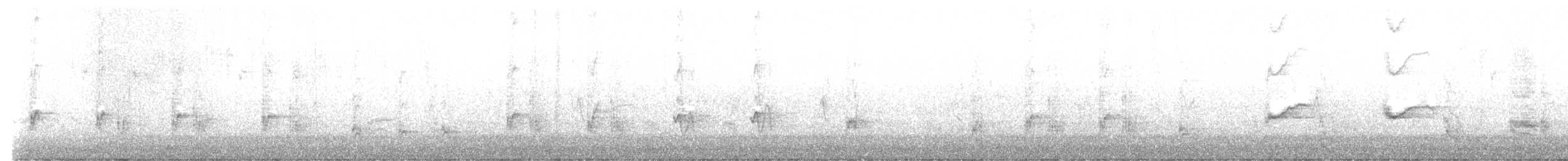 Тремблер каліфорнійський - ML646426589