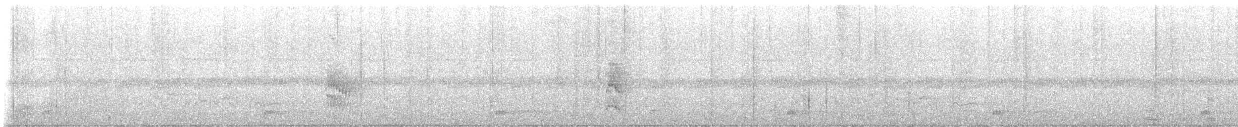 Манакін-короткокрил білочеревий - ML646426828