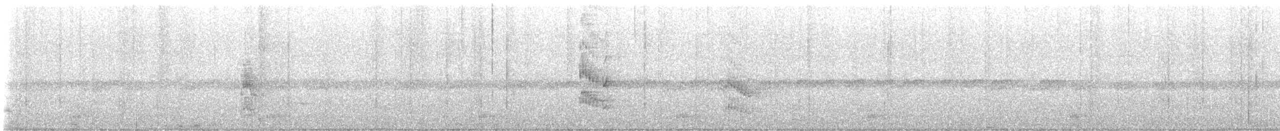 Манакін-короткокрил білочеревий - ML646426829