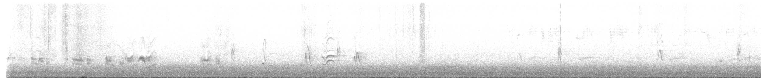 Тремблер каліфорнійський - ML646426891