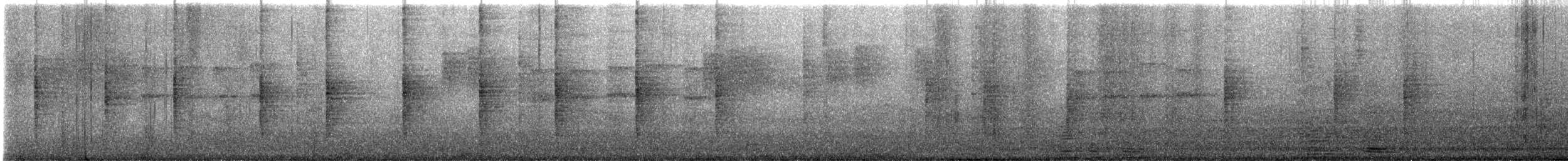 Txinbo kaskabeltza - ML646426947