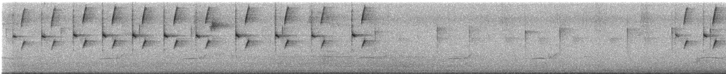 Колібрі-сапфір мексиканський - ML646426963