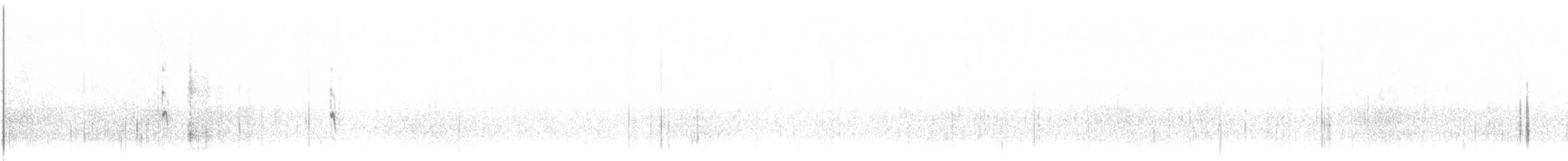 Волоочко канадське - ML646426966