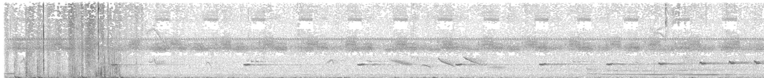 コバシシギダチョウ - ML646427088