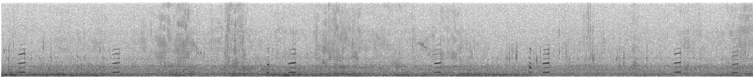 アカガシラソリハシセイタカシギ - ML646427209