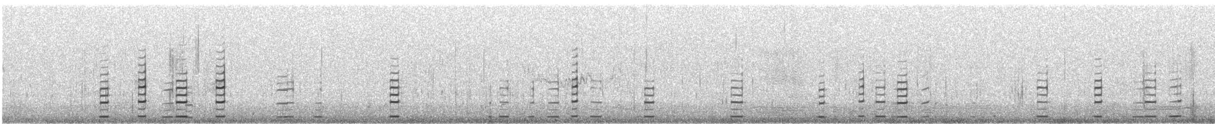 アカガシラソリハシセイタカシギ - ML646427210