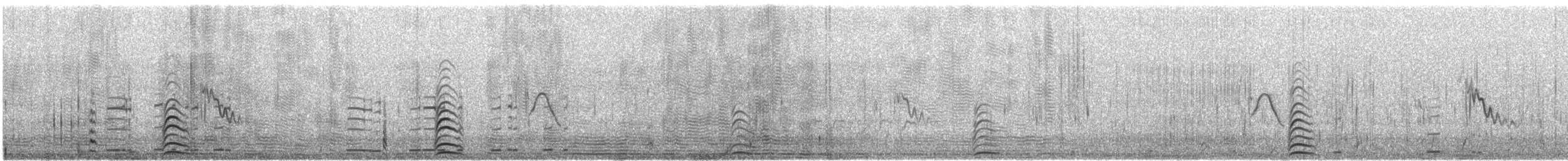 オーストラリアセイタカシギ - ML646427216