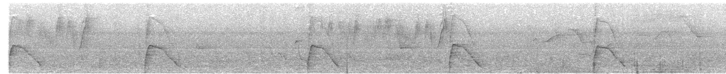 ハゲガオホウカンチョウ - ML646427219