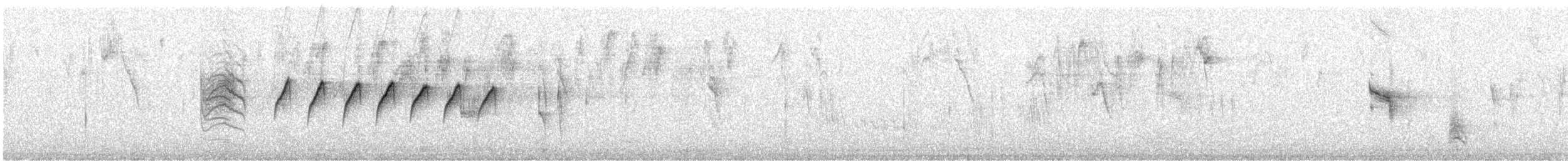 White-browed Gnatcatcher - ML646427363