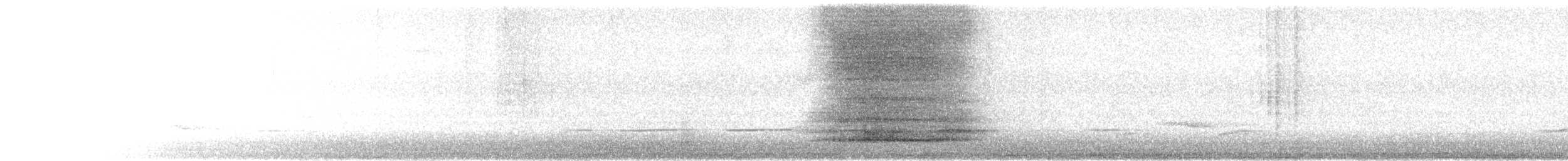 Common Brushtail Possum - ML646427394