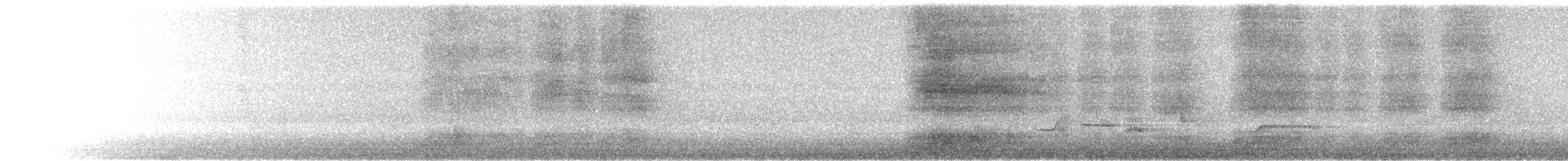 Common Brushtail Possum - ML646427395