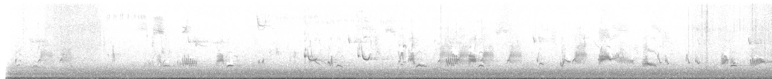 California Thrasher - ML646427459