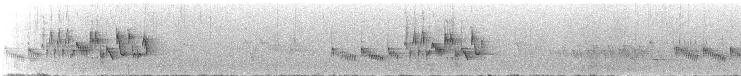 Northern House Wren (Brown-throated) - ML646427512