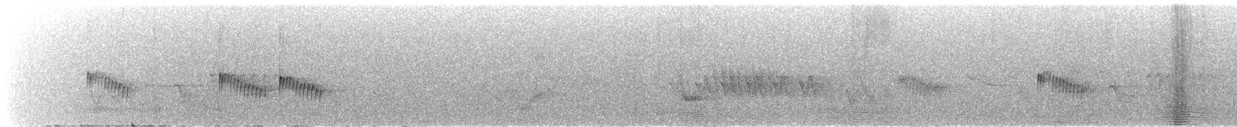 Northern House Wren (Brown-throated) - ML646427897