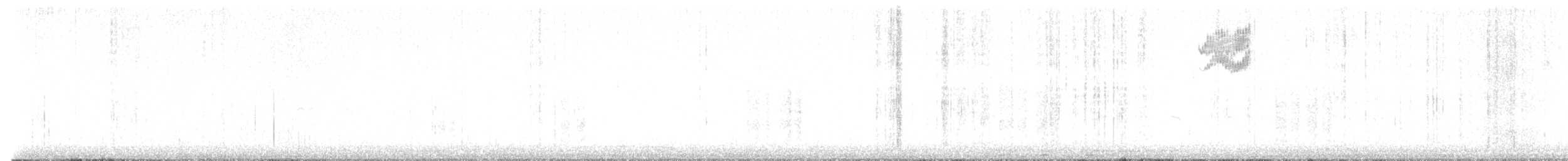 Green-tailed Towhee - ML646428025