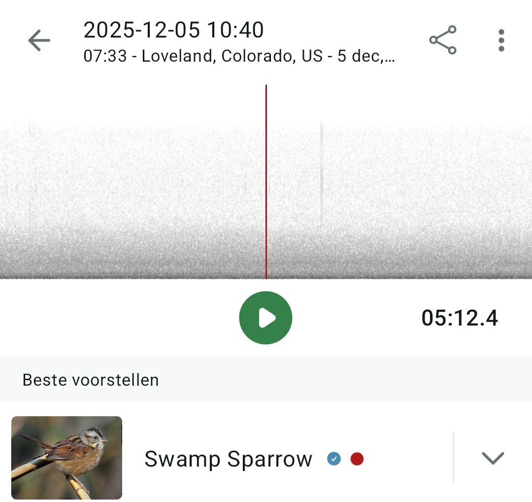 Swamp Sparrow - ML646428233