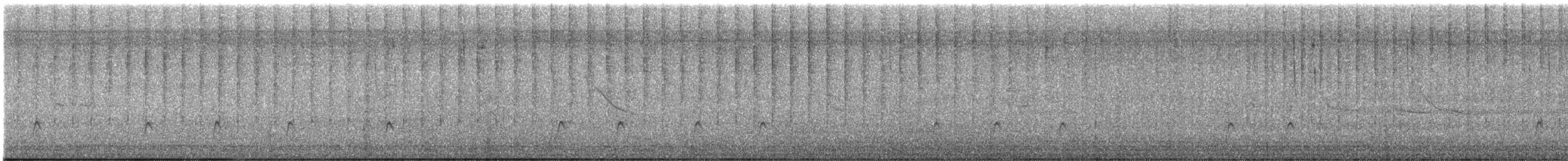 Greater Pewee - ML646428539