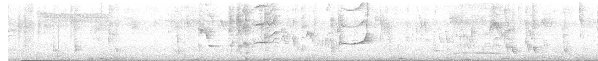 Carouge à ventre rouge - ML646429152