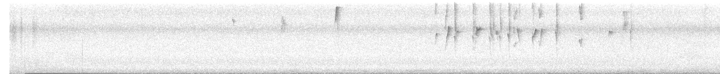 Colibrí Cobrizo - ML646429245