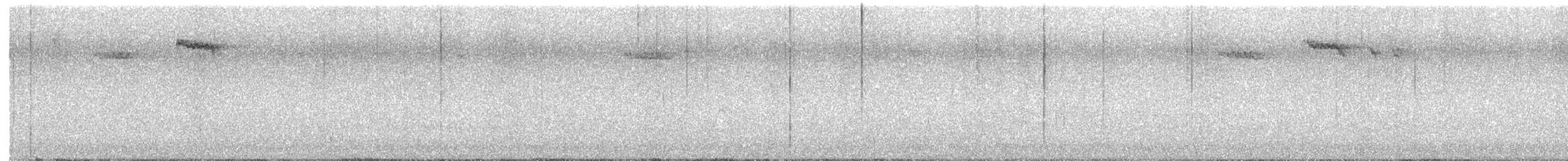 Brown Creeper - ML646429529