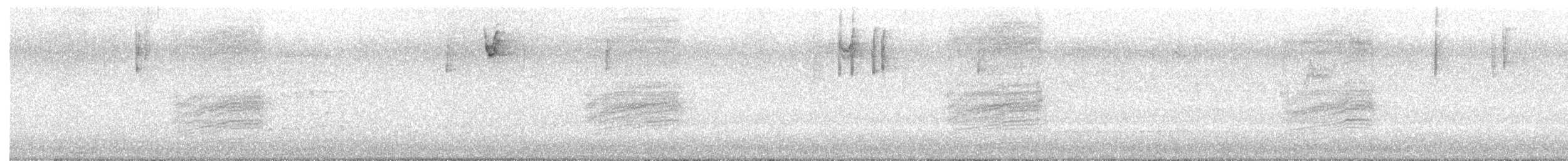 Spotted Towhee - ML646429552