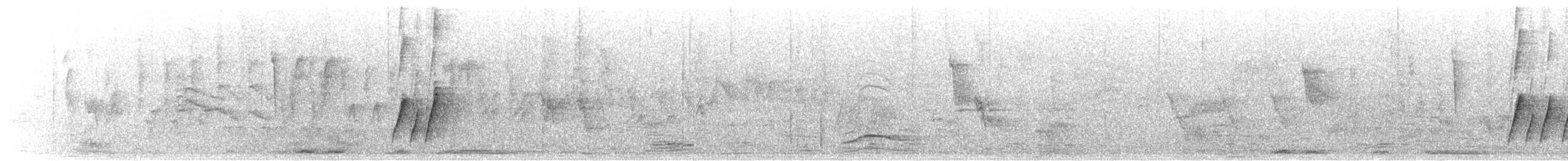 drozdec skvrnitoprsý [skupina curvirostre] - ML646430030