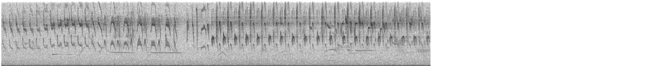 modropláštník nádherný - ML646430269