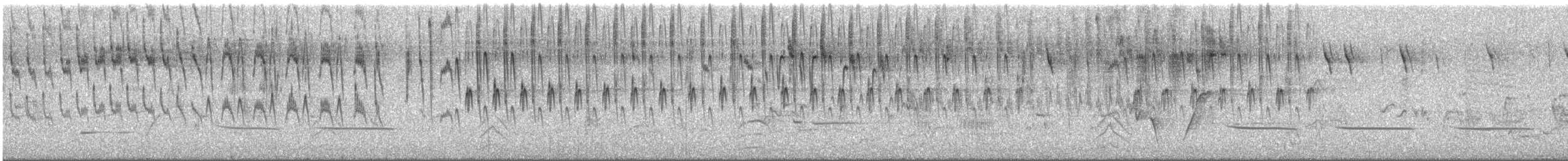 Little Grassbird - ML646430275