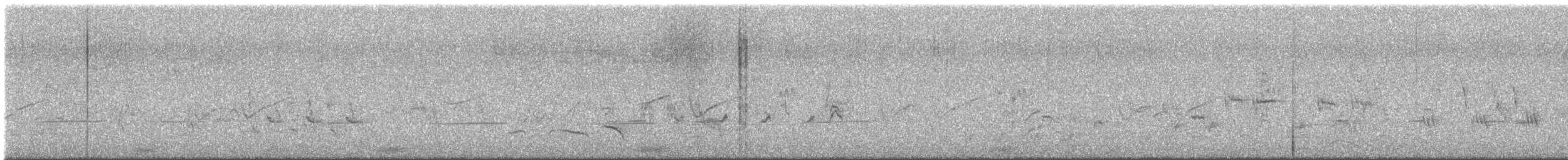 rákosník australský - ML646430294