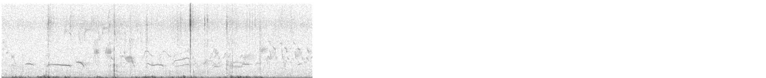 kos černý - ML646430298