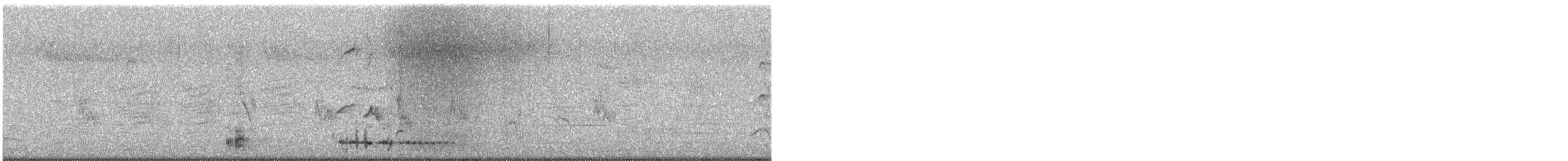 medosavka modrooká - ML646430302