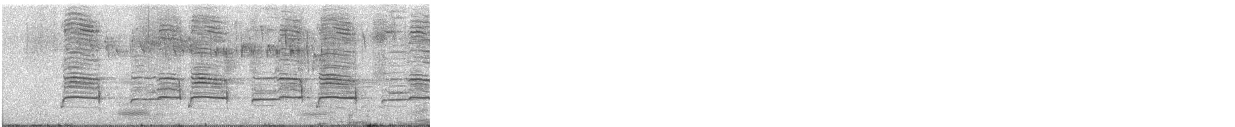 Magpie-lark - ML646430303