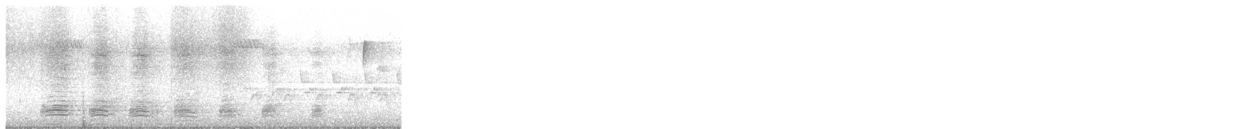 kachna divoká - ML646430323