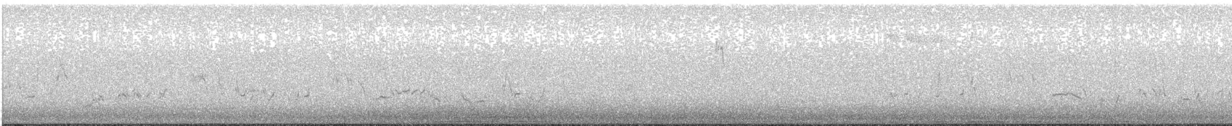 Townsend's Solitaire - ML646430466