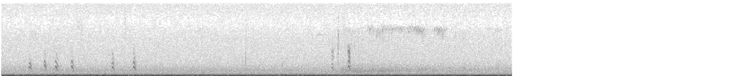 American Robin - ML646430475