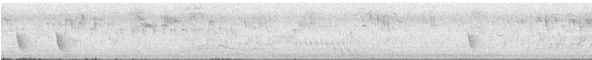 gulbrystflueskvett - ML646430499