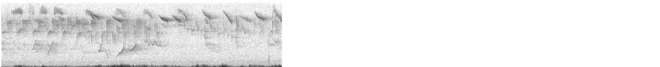 White-plumed Honeyeater - ML646430509