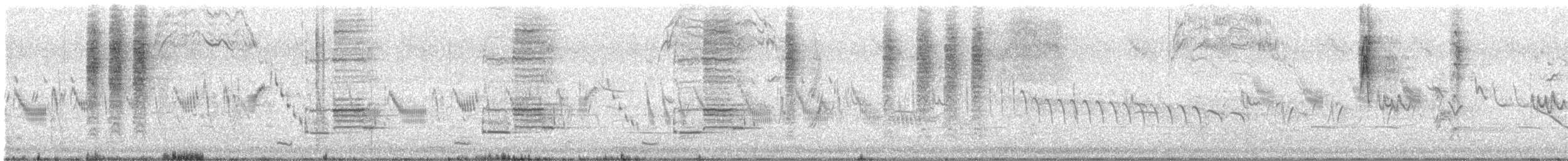 זרעית השדה - ML646430543