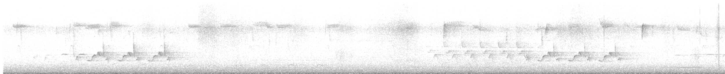 Carolina Wren (Northern) - ML646430831