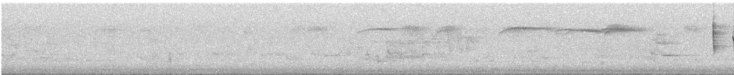 Канадская вильсония - ML646430922