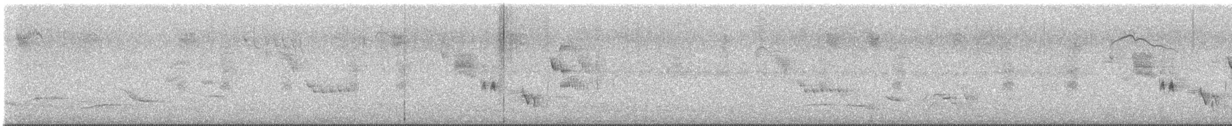 Brown Thornbill - ML646430939