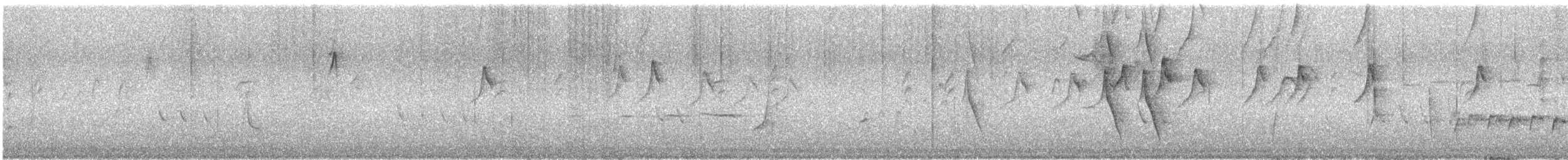 Gri Katmerkuyruk (preissi) - ML646431002