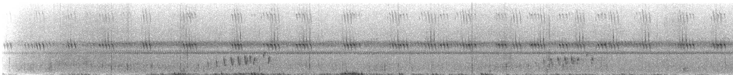 Altın Yakalı Çobanaldatan - ML646431650