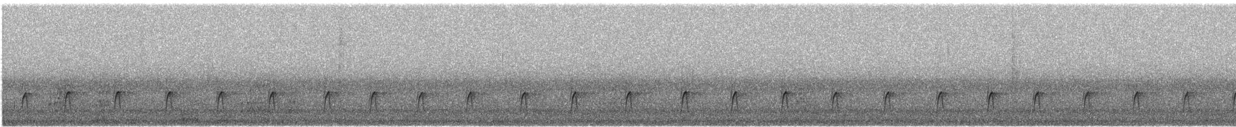 Greater Pewee - ML646431651