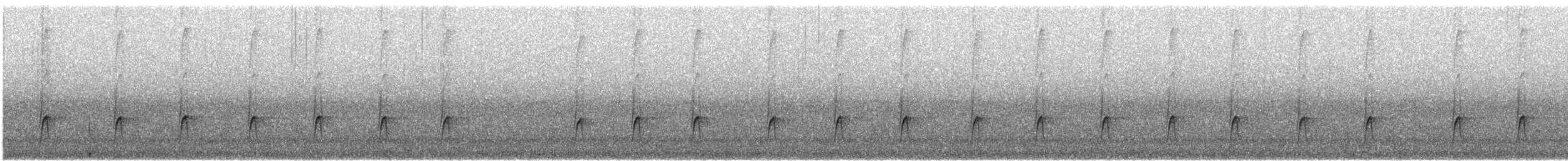 Greater Pewee - ML646431652