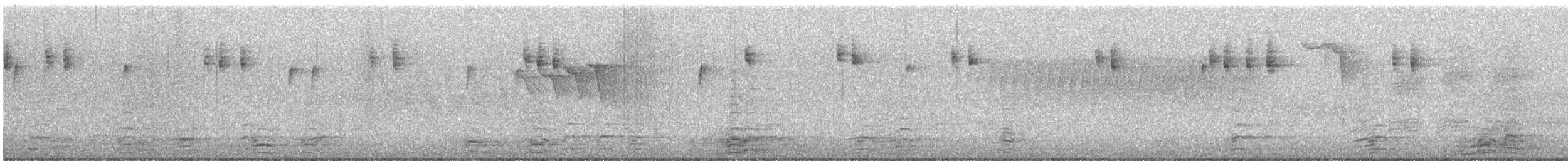 ברנטה קנדית - ML646431708