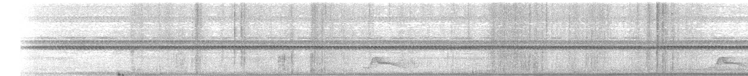 Common Pauraque - ML646431829