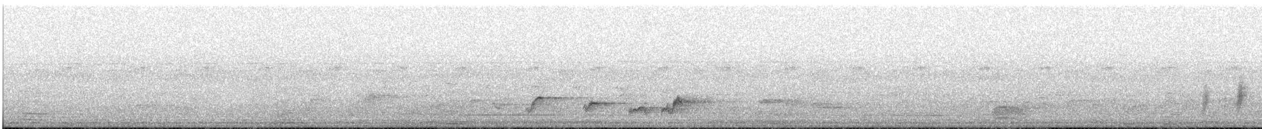 Black-throated Wattle-eye - ML646432149